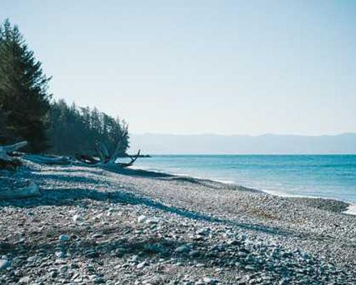 Expanding the utility of variant effect predictions with phenotype-specific models