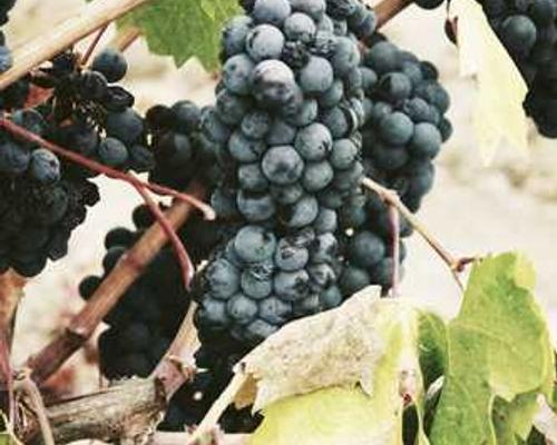 Three climate technologies breaking through in 2026