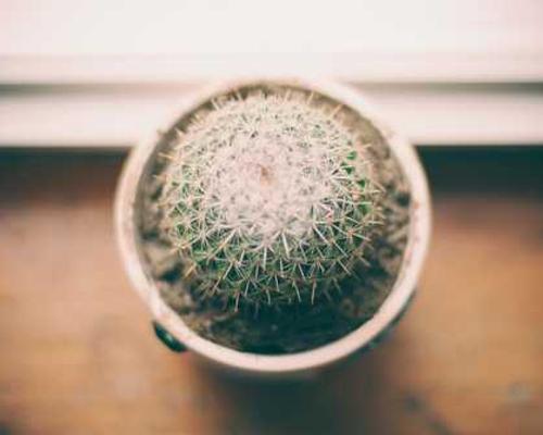 The Download: next-gen nuclear, and the data center backlash